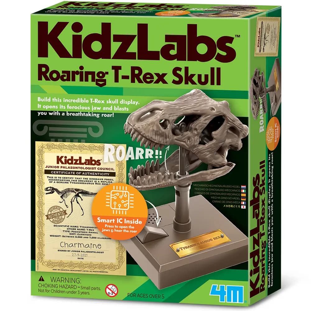 4M - KidzLabs - Roaring T-Rex Skull