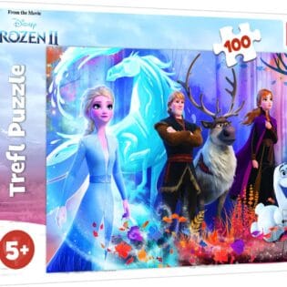 Puzzles - "100" - Magic of Frozen / Disney Frozen 2