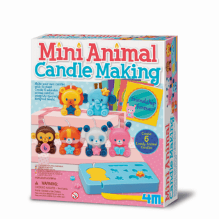4M- ANIMAL CANDLE MAKING